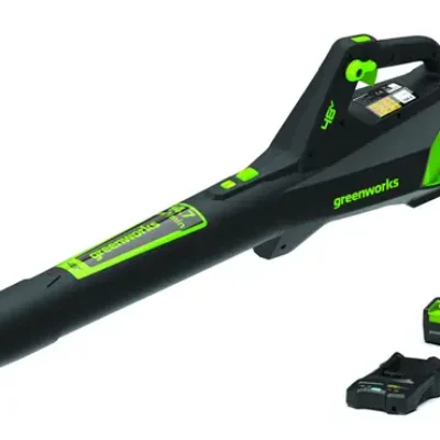 Souffleur de feuilles sans fil Greenworks 48 V Brushless