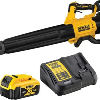 Souffleur de feuilles DEWALT DCMBL562P1 QW