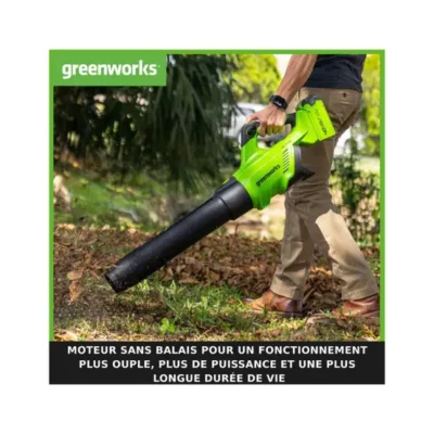 Souffleur GREENWORKS GD40ABIIK2X 40V 2 Batteries 2,0Ah