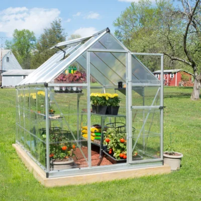 Serre de jardin Hybrid 5.7 m² argent polycarbonate double paroi